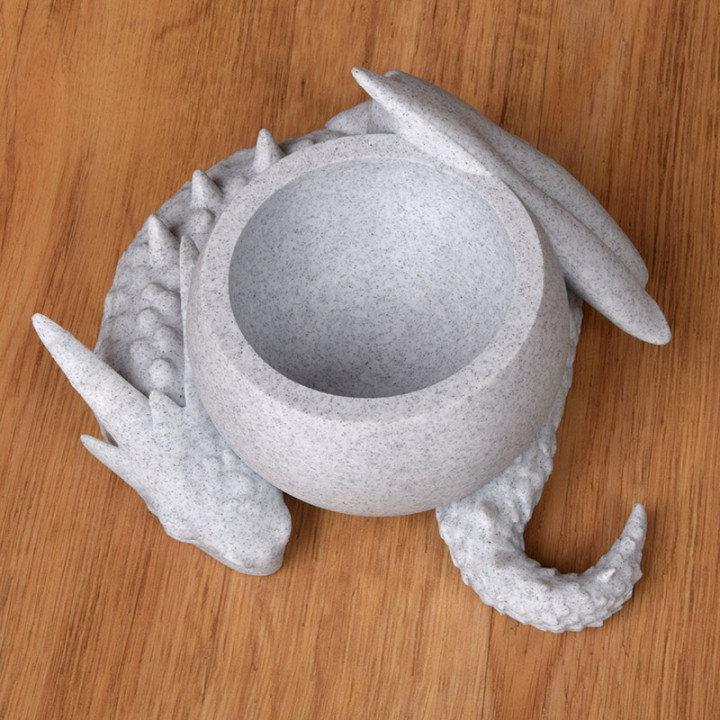 Dragon bowl image