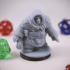 Dwarven Rogue 02 Miniature - pre-supported print image