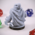 Dwarven Rogue 05 Miniature - pre-supported print image