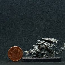 Picture of print of Skeletal Dragon Pose #1