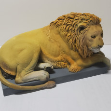 Picture of print of Recumbent Lion