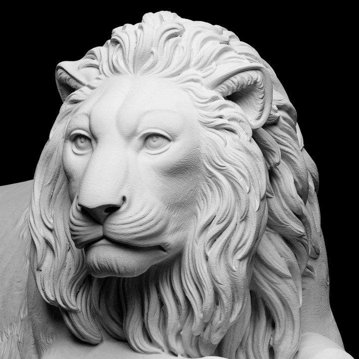 Recumbent Lion image