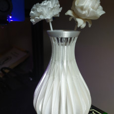 Picture of print of INTER CROSS SPIRAL FLOWER VASE