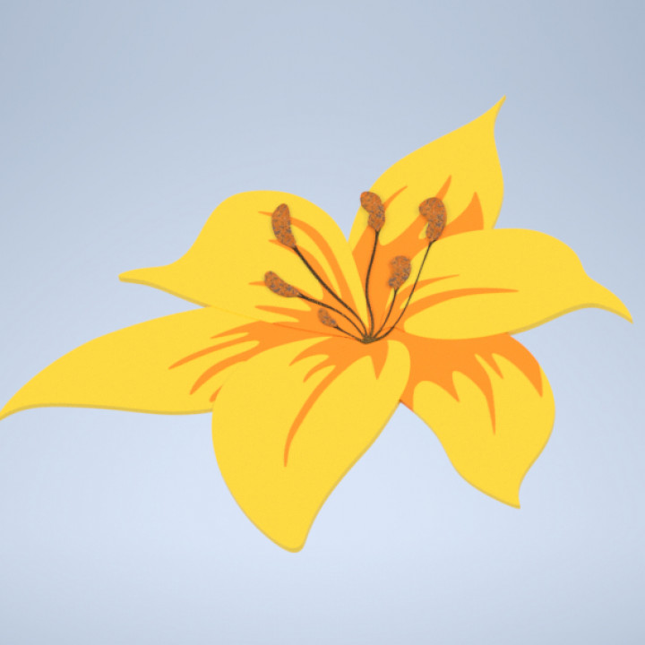 Flower - Monocot image