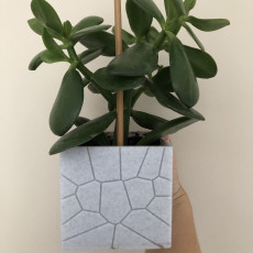 Picture of print of brick plant pot