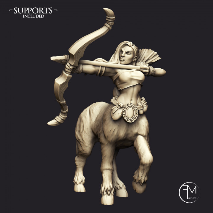 Sagittarius & Khararis - 2 Centaurides Heroines Set (AMAZONS! Kickstarter) image
