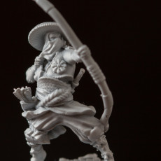 Picture of print of Ashigaru Bowman