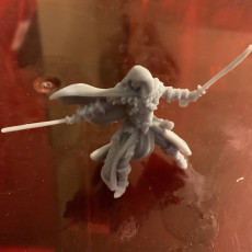 Picture of print of Drizzle (not Drizzt) - Dual wielding Drow Elf Fighter/Ranger