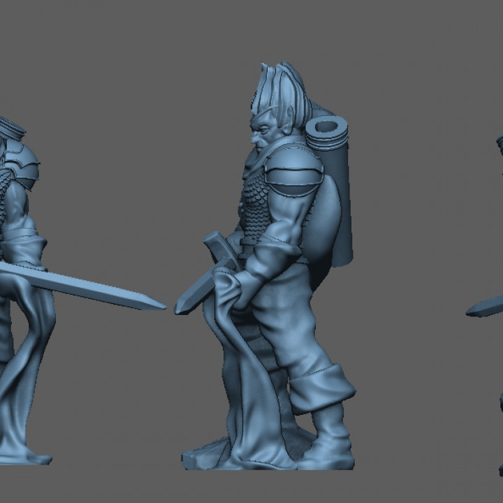 Drow Fighter image
