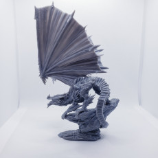 Picture of print of Crystal Dragon pose #2
