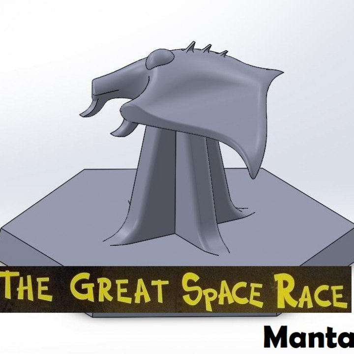 Great Space Race - Manta Ship image