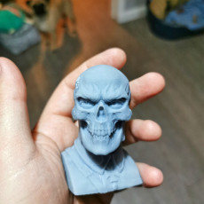 Picture of print of Red Skull