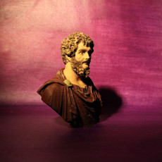 Picture of print of Portrait of Septimius Severus