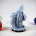 Dwarf Guardian Variant Miniature - pre-supported print image