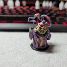 Picture of print of Tortle Sorcerer Miniature - Pre-Supported