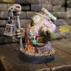 Picture of print of Tortle Sorcerer Variant Miniature - Pre-Supported