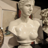 Bust of Venus de Milo print image