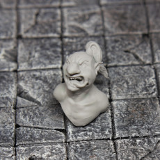 Picture of print of Goblin Explorer Bust