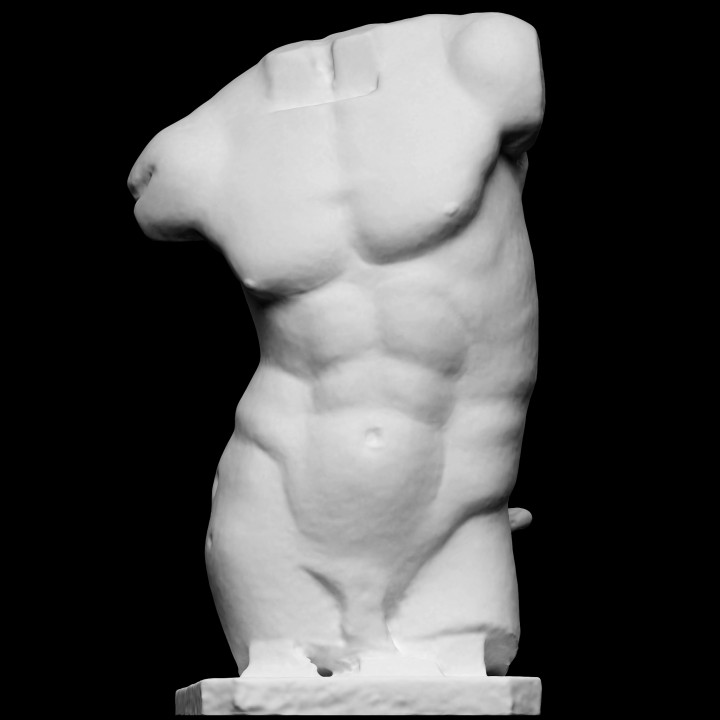 Torso of a male figure image
