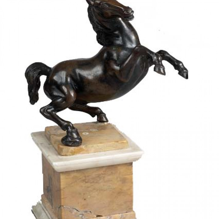 Rearing Horse / Da Vinci Horse image