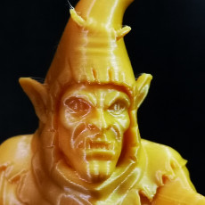 Picture of print of Goblin Shaman miniature