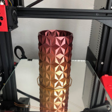Picture of print of Vase