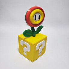 Picture of print of Super Mario Fire or Ice Flower with Switch card storage