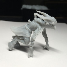 Picture of print of DEMON 1