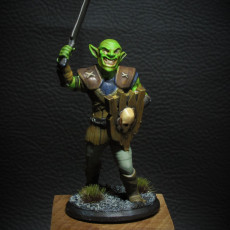 Picture of print of Goblin Fighter - Miniature