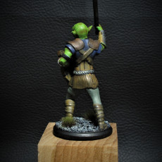 Picture of print of Goblin Fighter - Miniature