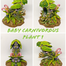 Picture of print of BABY CARNIVOROUS PLANT OPENED