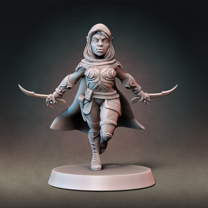 Elf Rogue Type B with Modular Hands and Weapons (Presupported) image