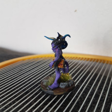 Picture of print of Dragon Sorceress (Pre-Supported)