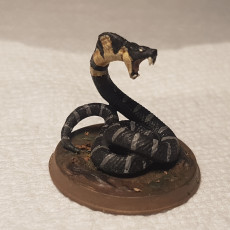 Picture of print of Giant Snakes - 2 Units (AMAZONS! Kickstarter)