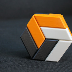 Picture of print of Hexagon Puzzle made slightly prettier