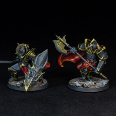 Picture of print of Dark Knight - Chaos Warrior