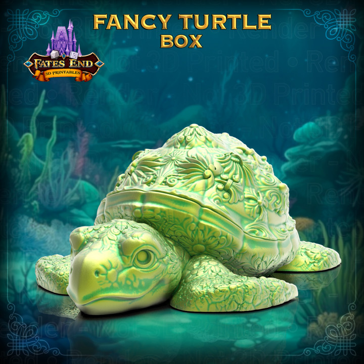 Fancy Turtle Box image