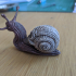Skull snail print image