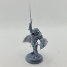 Picture of print of Alistair Glimmergaunt the Elf Paladin