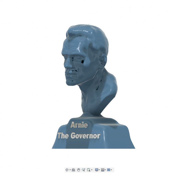 Arnie The Governor image