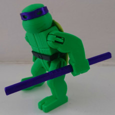 Picture of print of TMNT Action Figures