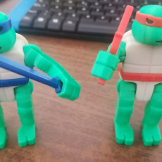 Picture of print of TMNT Action Figures