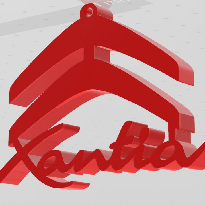 Xantia Logo 3D Design image