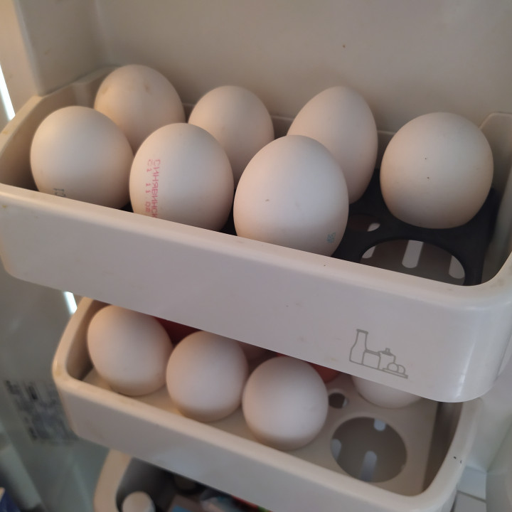 Stand for eggs in the refrigerator Stinol 116ER Подставка для яиц в холодильник Stinol 116ER image