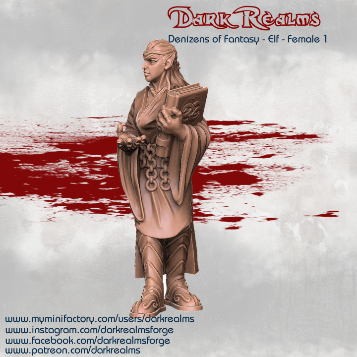 Dark Realms Denizens of Fantasy - Elf Female 1 image