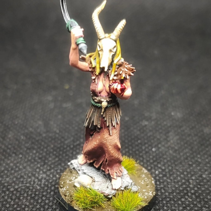 3D Print of Blight Druid (Presupported Reworked) by sergicobo