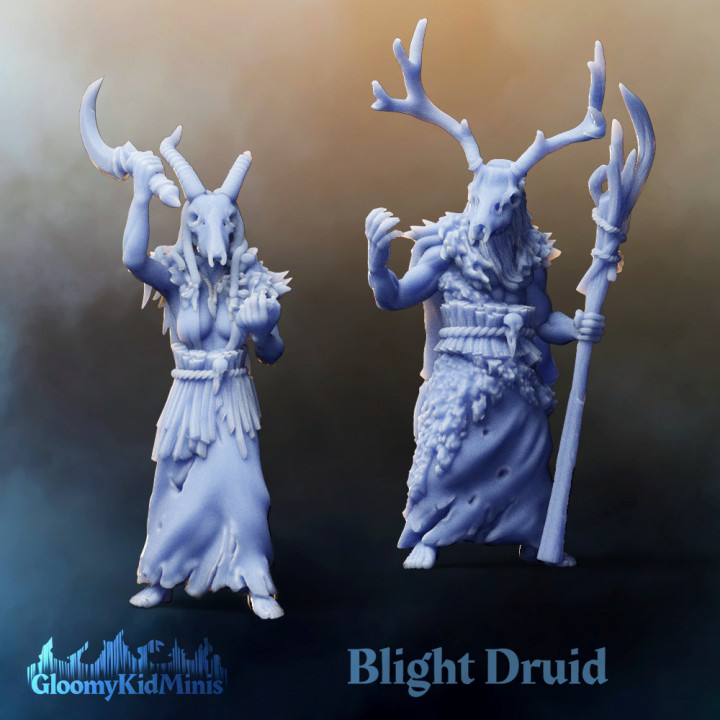 Blight Druid (Presupported Reworked) image