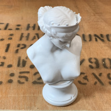 Picture of print of Bust of the Venus de Capua