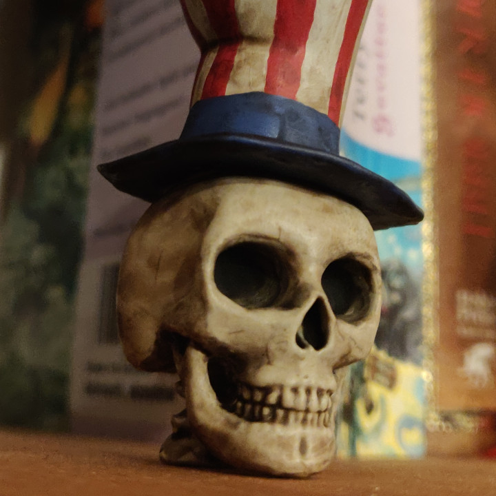 Dead Patriot Skull image