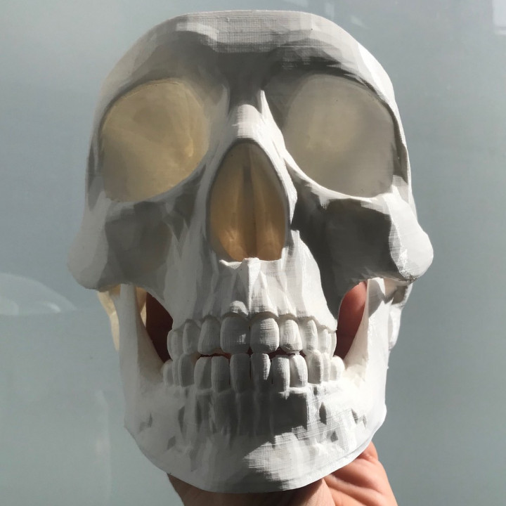 3D Printable Skulltidy by Jordi Monfort